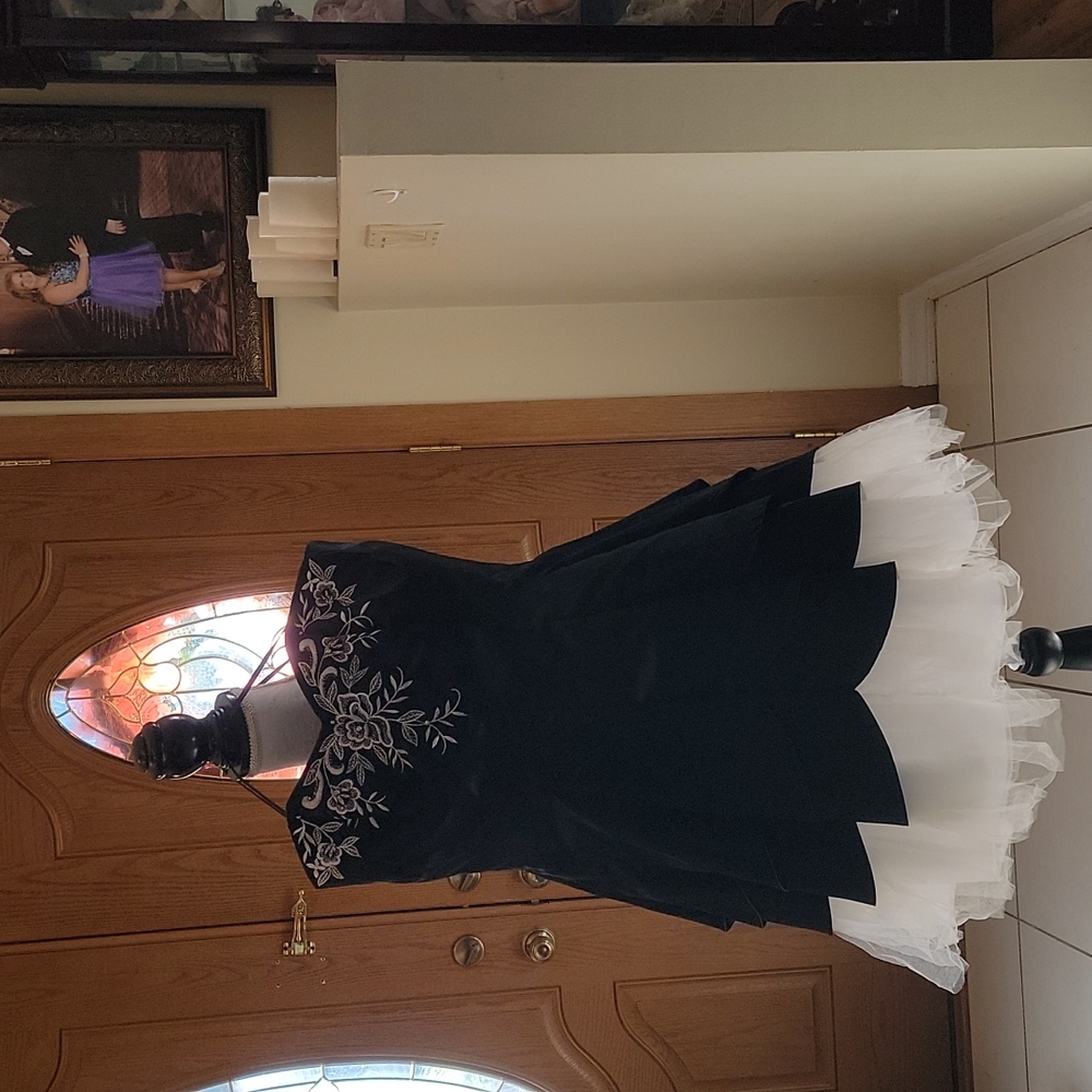 Prom , formal occasion dress